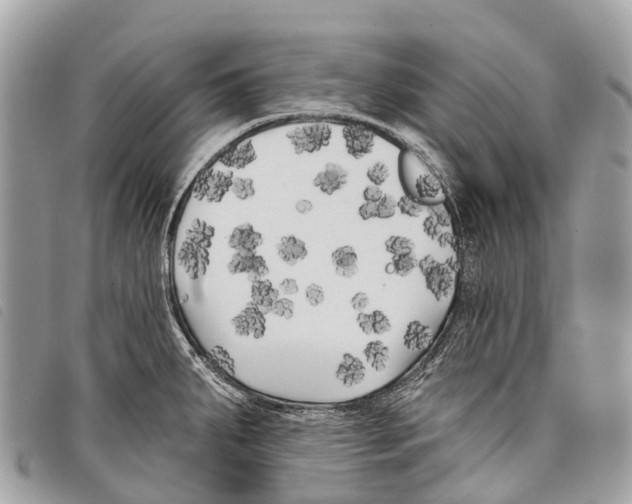 X0000097851287200804111120