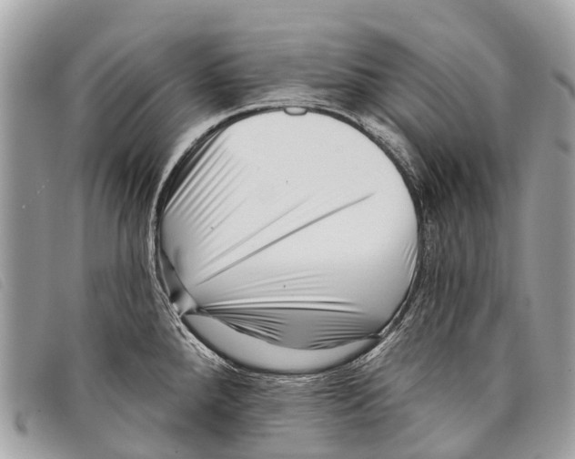 X0000097851288200804111120