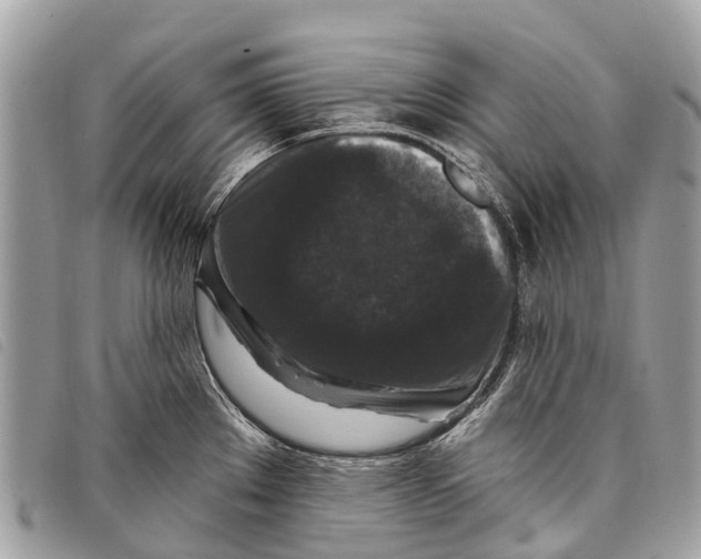 X0000097851289200804111120