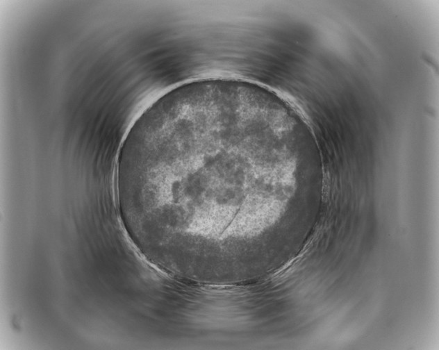 X0000097851295200804111120