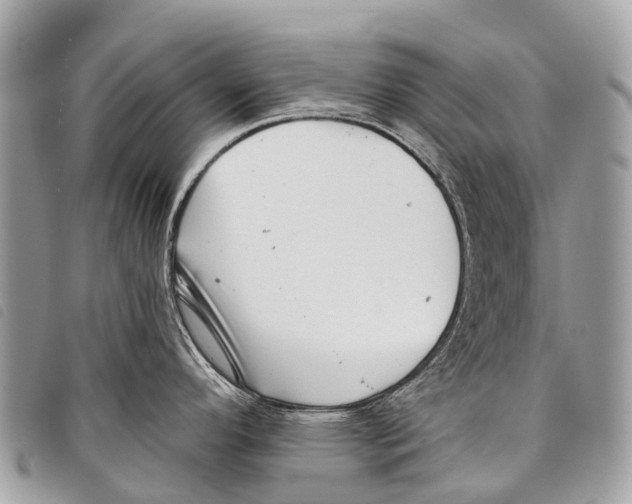 X0000097851296200804111120