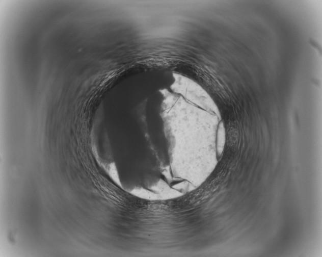 X0000097851297200804111119