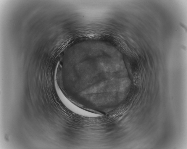 X0000097851298200804111119