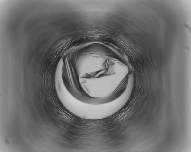 X0000097851299200804111119