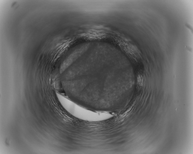 X0000097851300200804111119