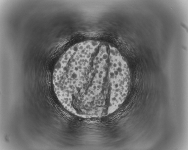 X0000097851301200804111119