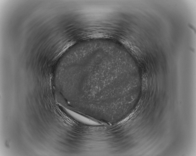 X0000097851305200804111119