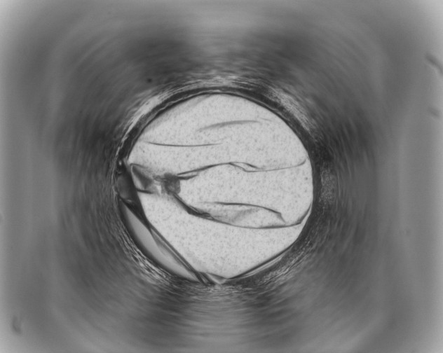 X0000097851308200804111119