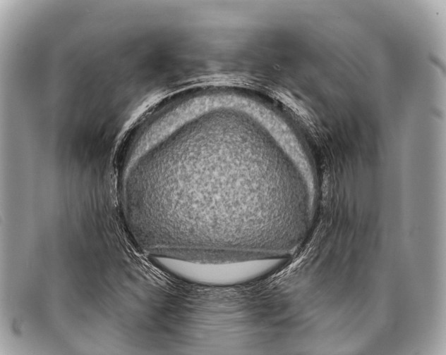 X0000097851310200804111119