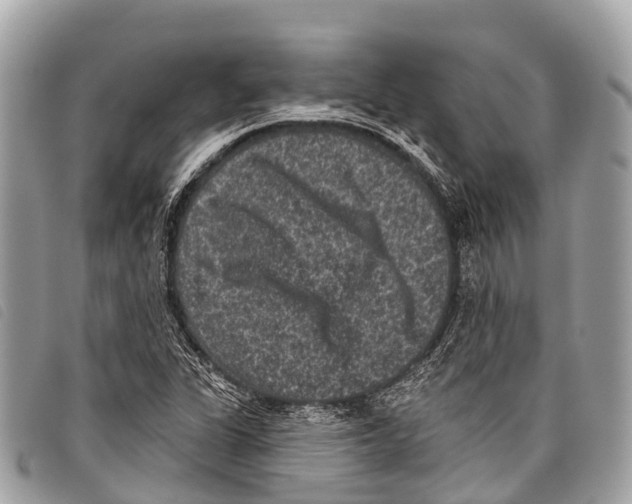 X0000097851311200804111119