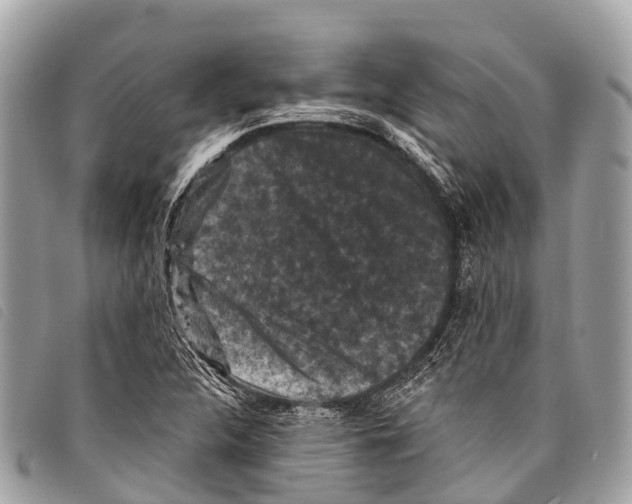 X0000097851312200804111119