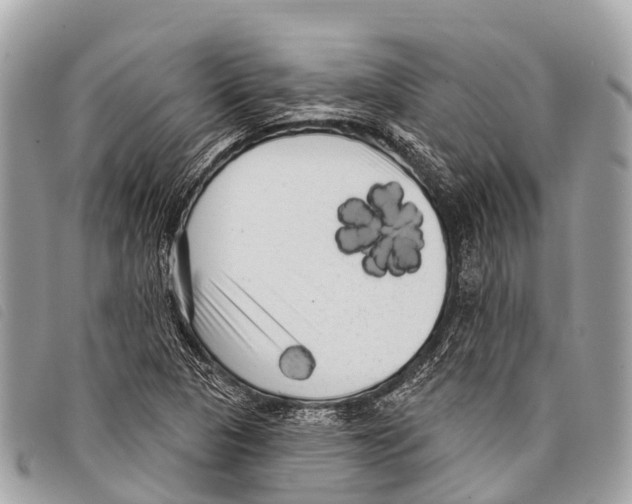 X0000097851313200804111119