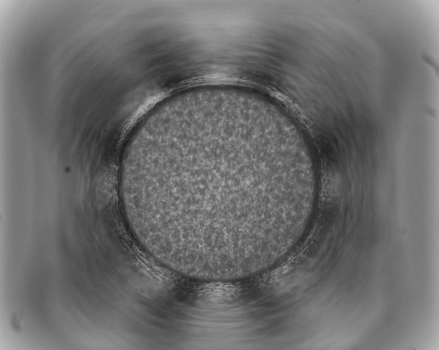 X0000097851314200804111119