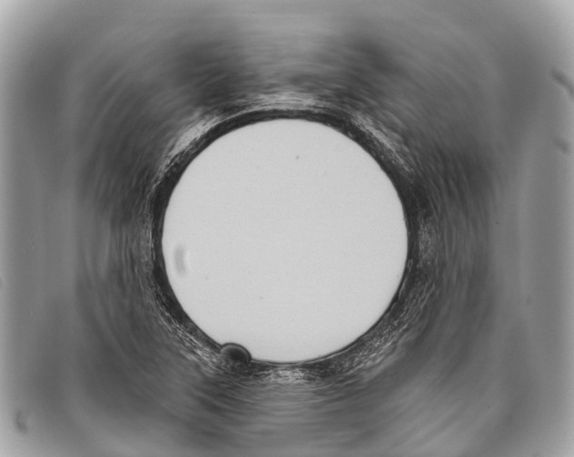 X0000097851315200804111119