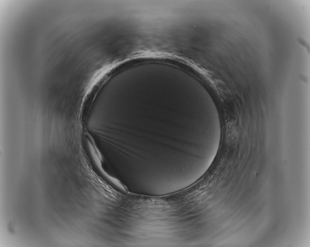 X0000097851319200804111119