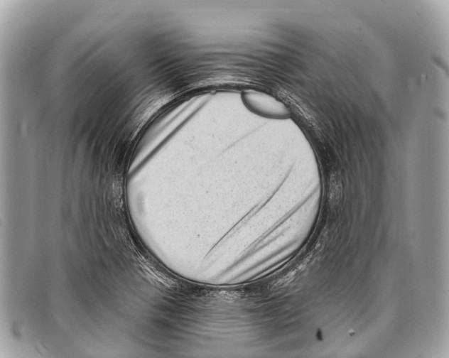 X0000097851321200804111119