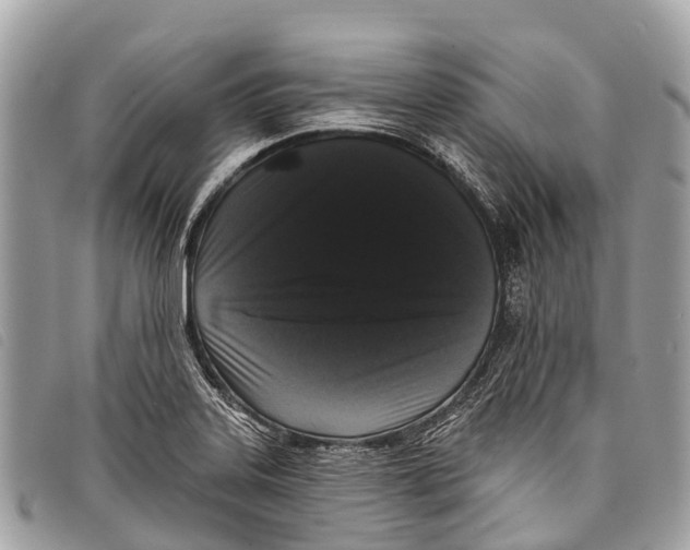 X0000097851323200804111119