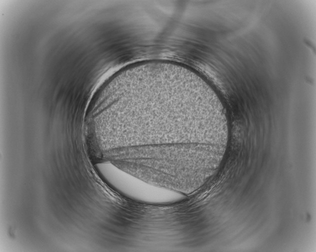 X0000097851324200804111119