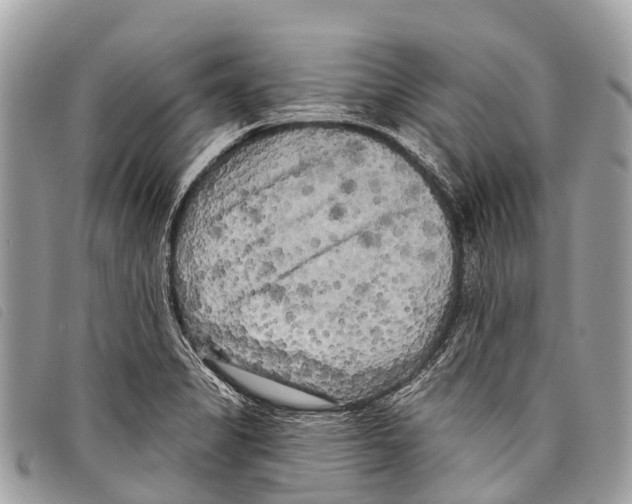 X0000097851325200804111119