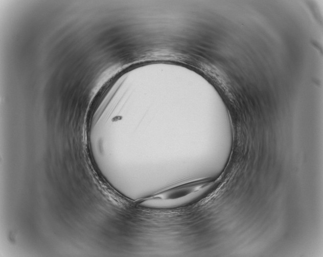 X0000097851328200804111119