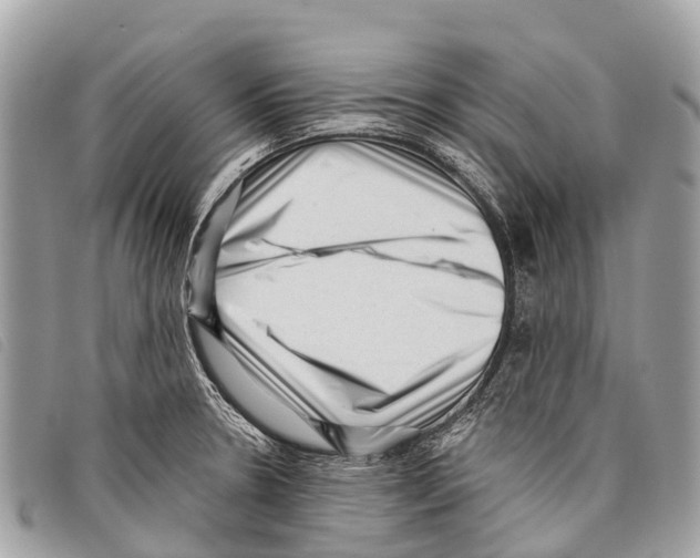 X0000097851330200804111119