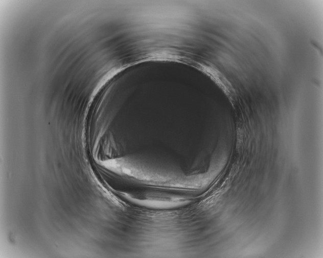 X0000097851331200804111119