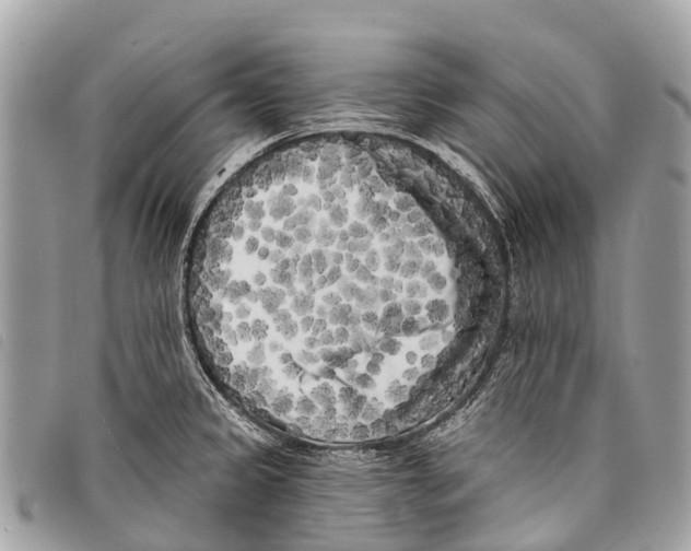 X0000097851333200804111119