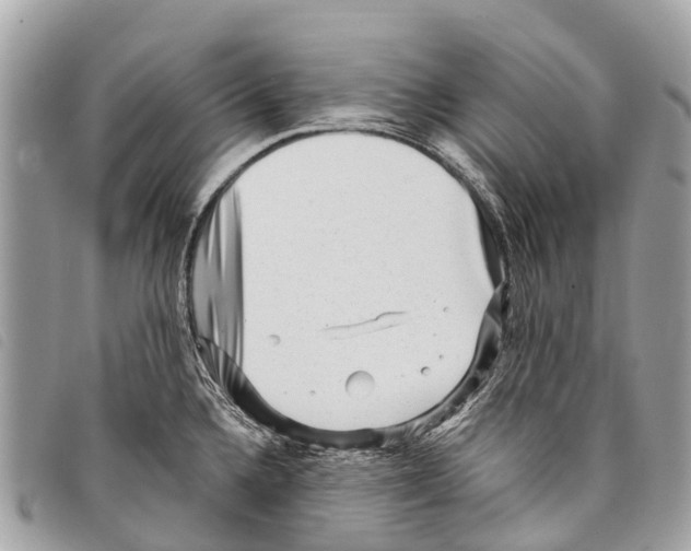 X0000097851336200804111119