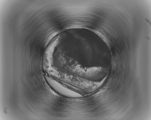 X0000097851337200804111119