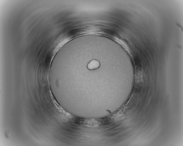 X0000097851338200804111119