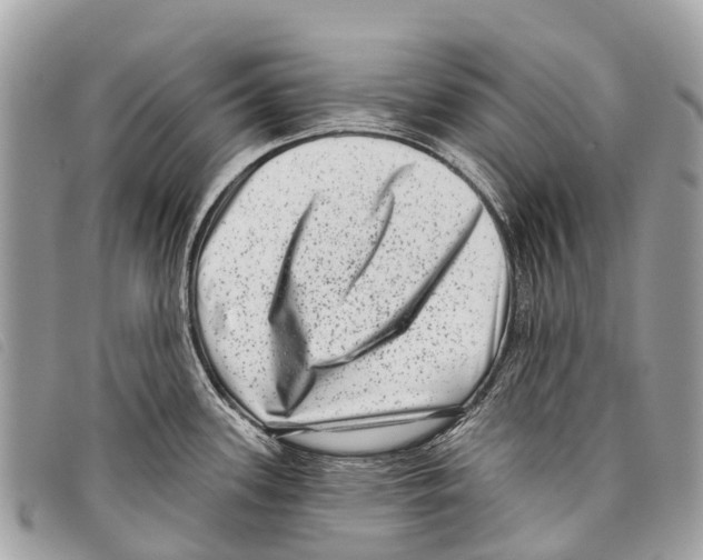 X0000097851339200804111119