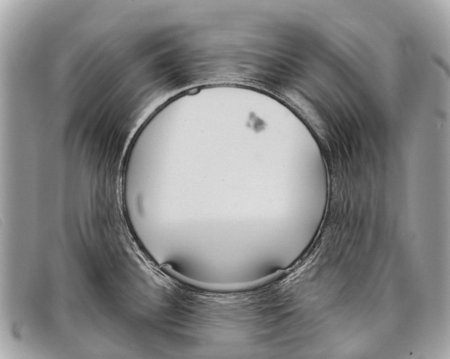 X0000097851340200804111119