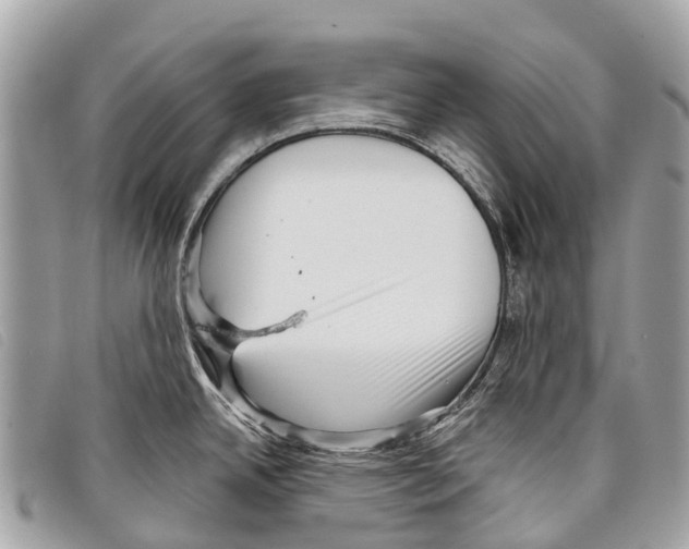 X0000097851342200804111119