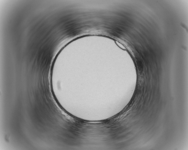 X0000097851343200804111120