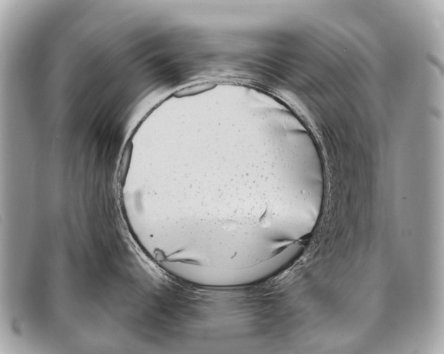 X0000097851344200804111120