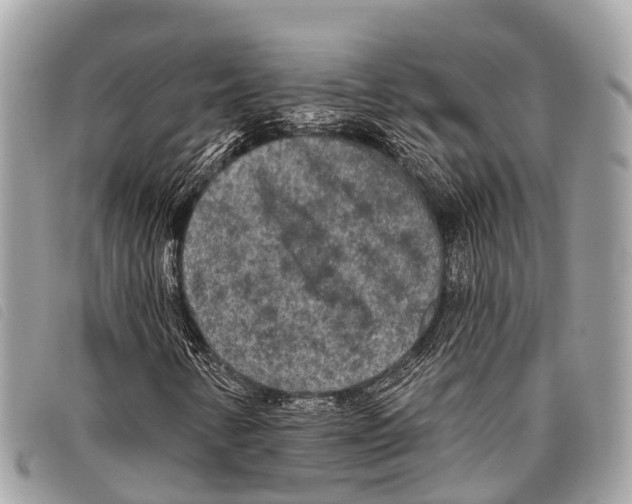 X0000097851346200804111119