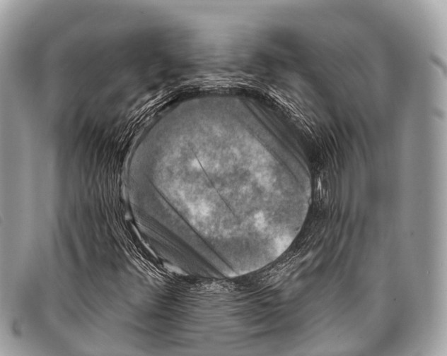 X0000097851348200804111119