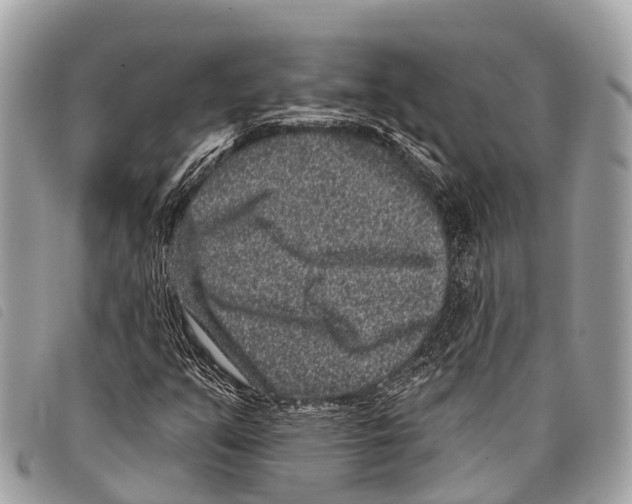 X0000097851351200804111119