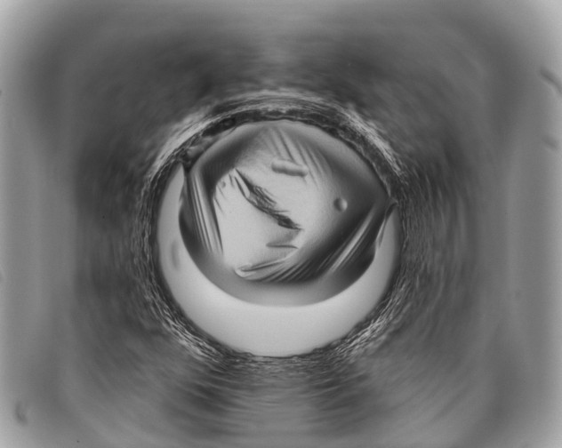 X0000097851352200804111119