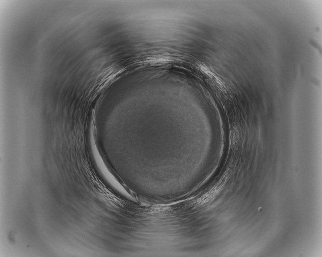 X0000097851353200804111119