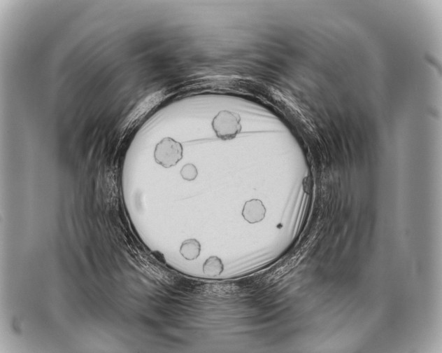 X0000097851354200804111119