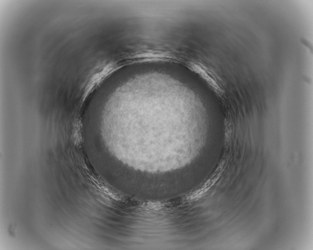 X0000097851357200804111119