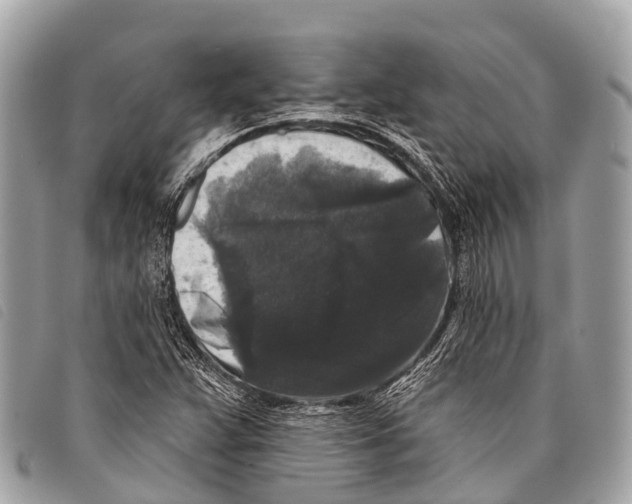 X0000097851359200804111118