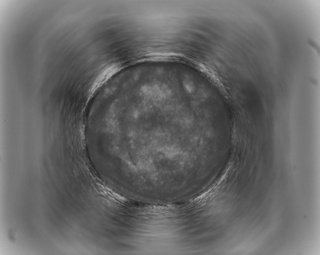 X0000097851362200804111118