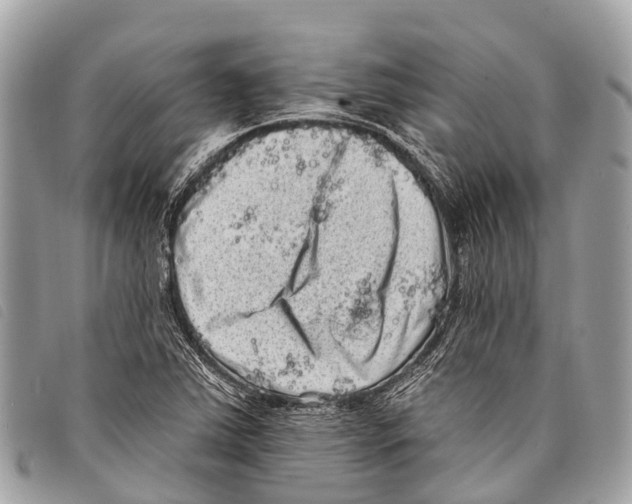 X0000097851363200804111118