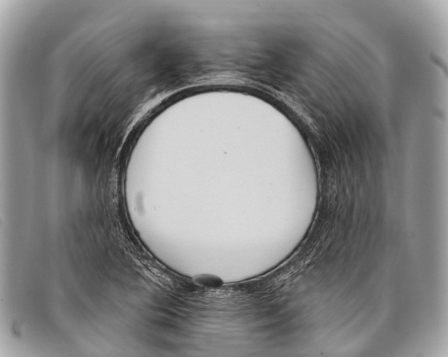 X0000097851364200804111118