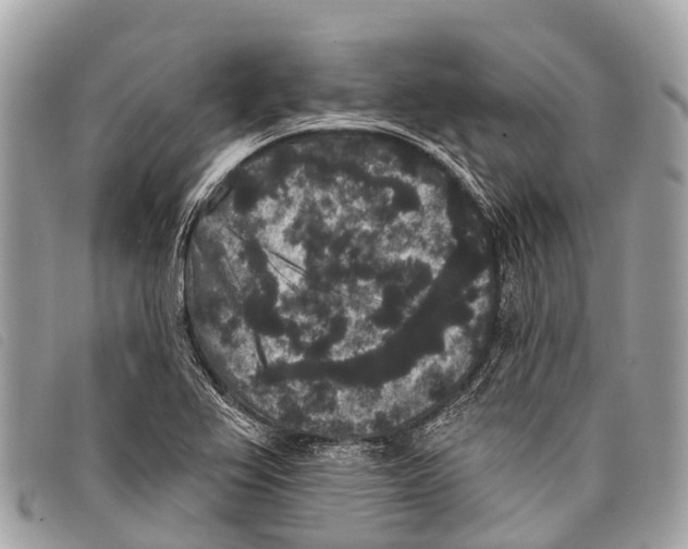 X0000097851367200804111118