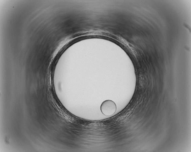 X0000097851368200804111118