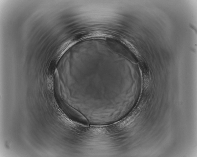 X0000097851369200804111118