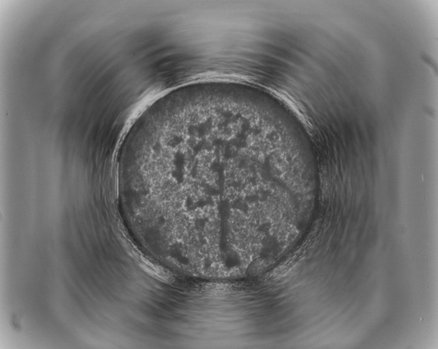 X0000097851371200804111118